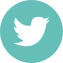 X (Twitter)